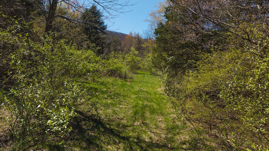 TBD Byrnes Chapel RD - Photo 17