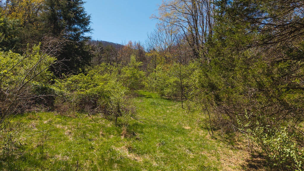 TBD Byrnes Chapel RD - Photo 18