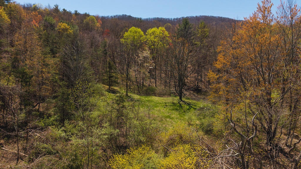 TBD Byrnes Chapel RD - Photo 19
