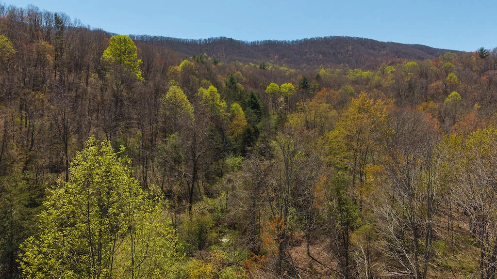 TBD Byrnes Chapel RD - Photo 20