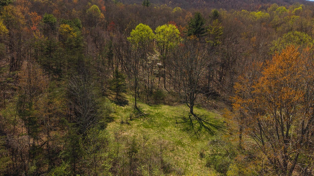 TBD Byrnes Chapel RD - Photo 21