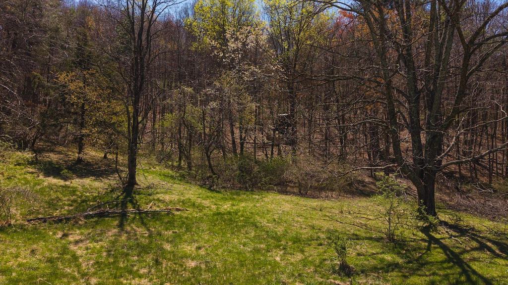 TBD Byrnes Chapel RD - Photo 22