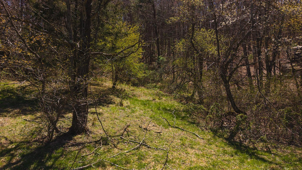 TBD Byrnes Chapel RD - Photo 23
