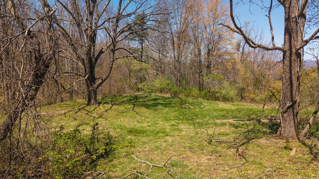 TBD Byrnes Chapel RD - Photo 24