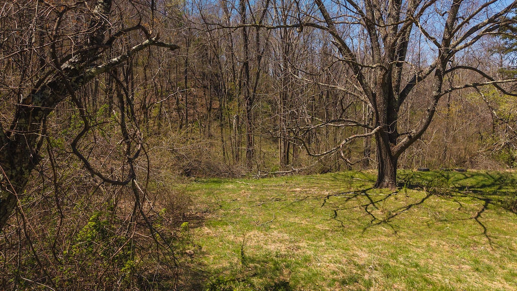 TBD Byrnes Chapel RD - Photo 25