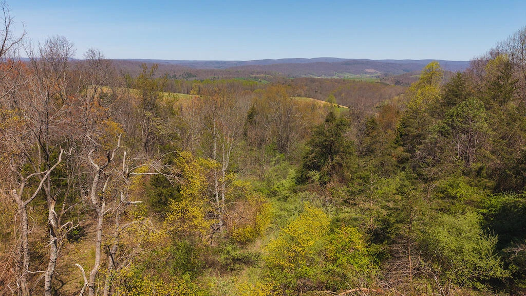 TBD Byrnes Chapel RD - Photo 26