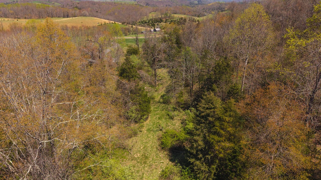 TBD Byrnes Chapel RD - Photo 27