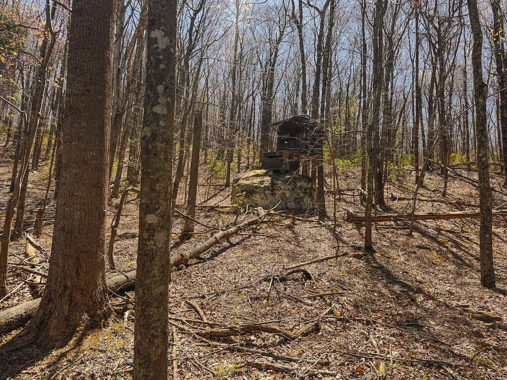 TBD Byrnes Chapel RD - Photo 28