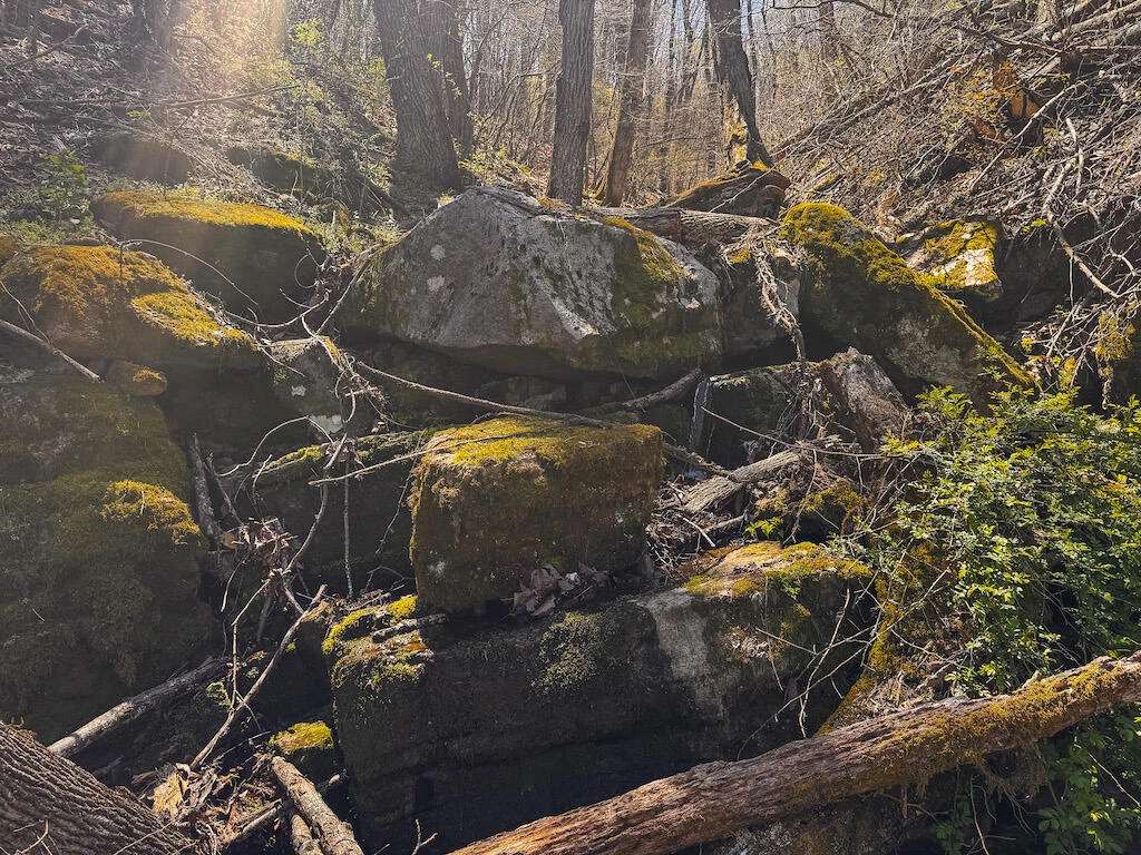 TBD Byrnes Chapel RD - Photo 31