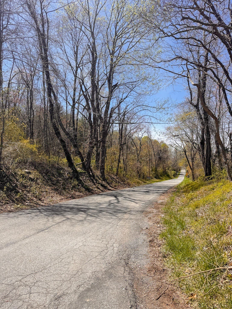 TBD Byrnes Chapel RD - Photo 36