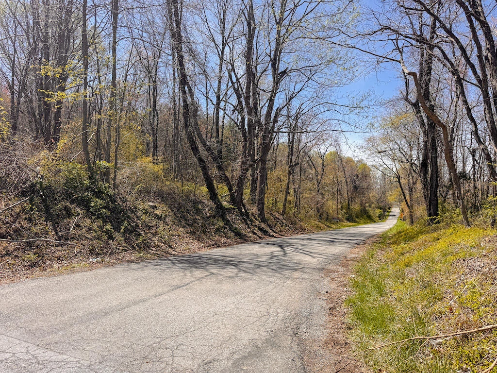 TBD Byrnes Chapel RD - Photo 37