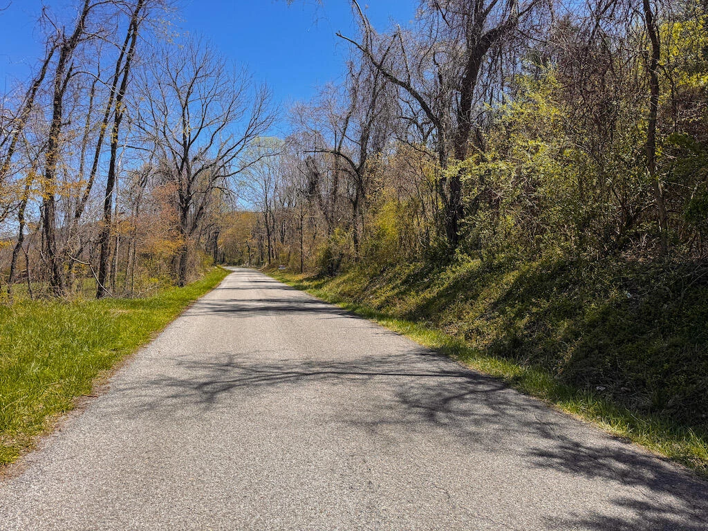TBD Byrnes Chapel RD - Photo 38