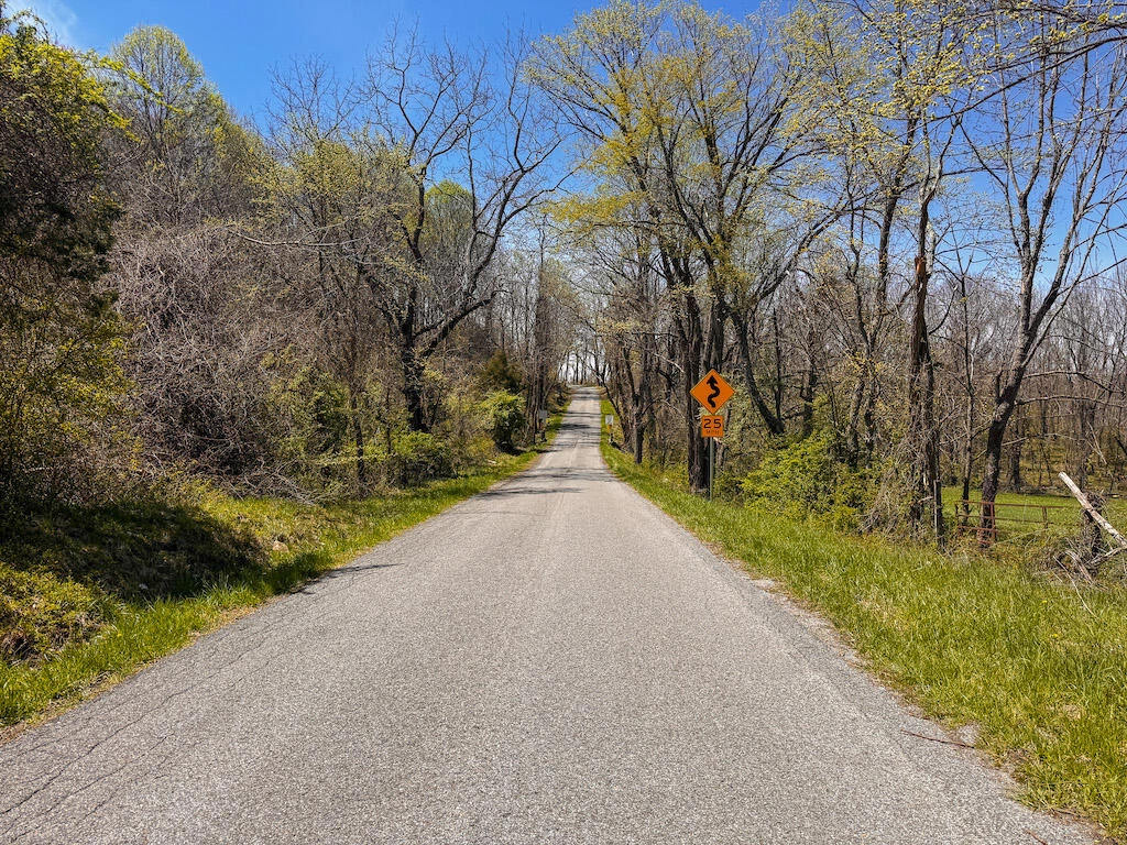 TBD Byrnes Chapel RD - Photo 39