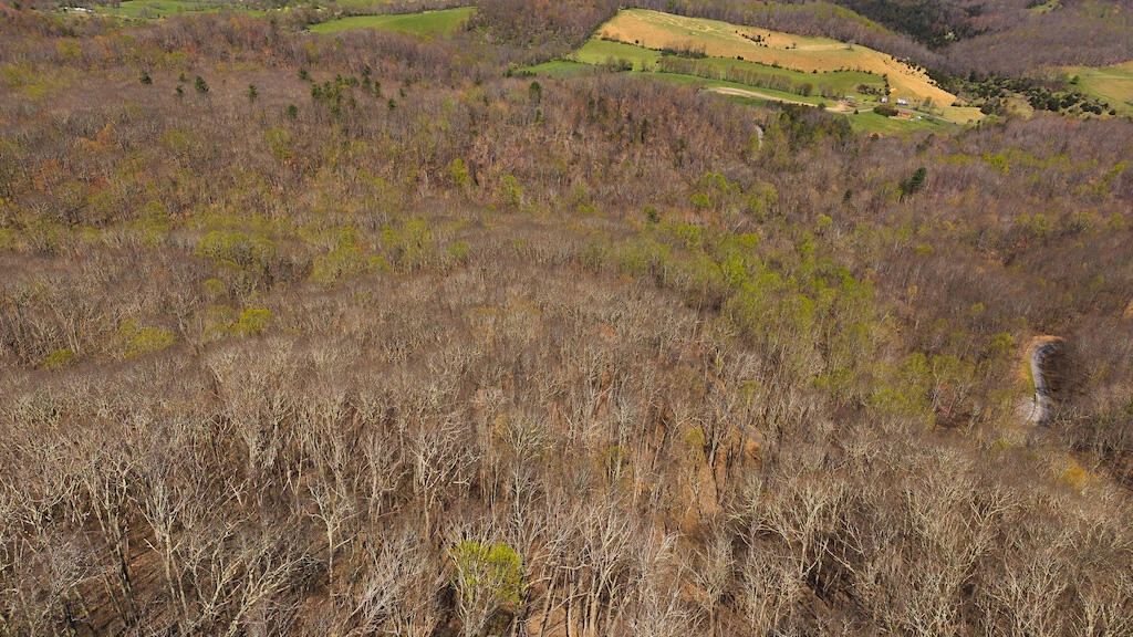 TBD Byrnes Chapel RD - Photo 5