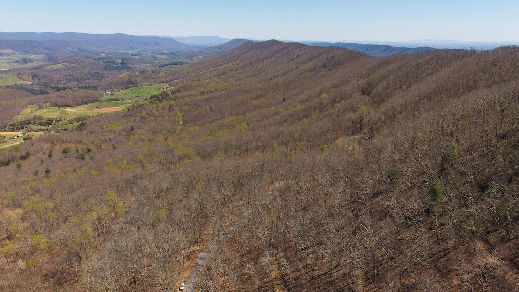 TBD Byrnes Chapel RD - Photo 9