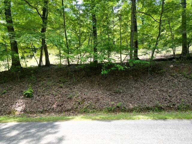00 MCNEIL MILL RD - Photo 6