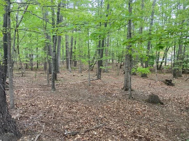 Lot 2 Chesney PL - Photo 10