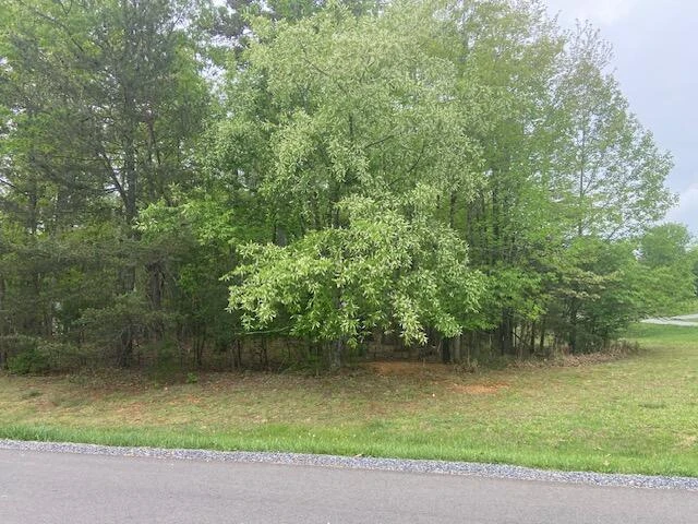 Lot 2 Chesney PL - Photo 3