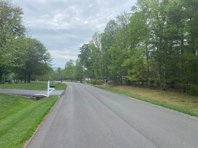 Lot 2 Chesney PL - Photo 4