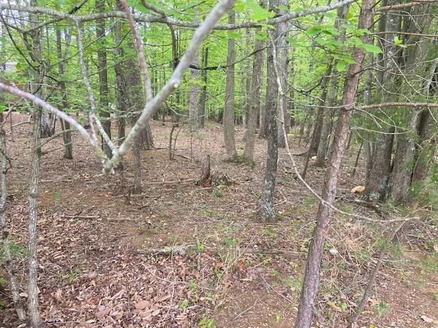 Lot 2 Chesney PL - Photo 6