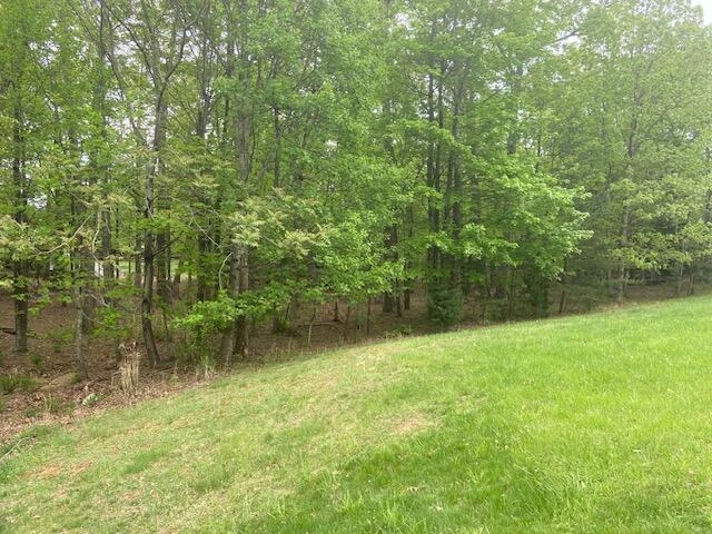 Lot 2 Chesney PL - Photo 7