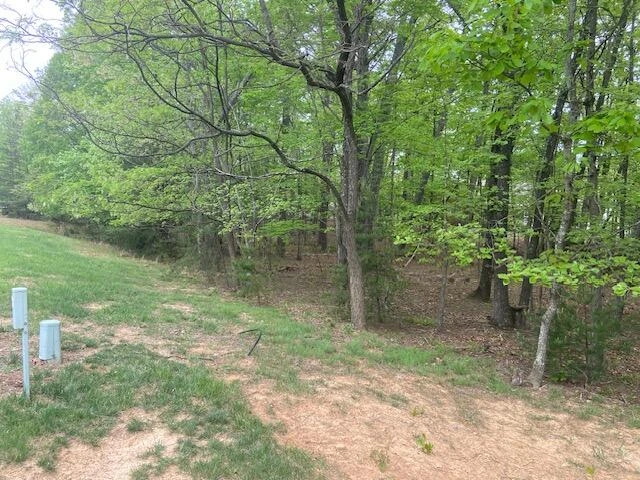 Lot 2 Chesney PL - Photo 8