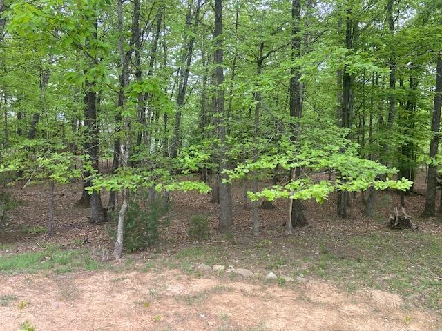 Lot 2 Chesney PL - Photo 9