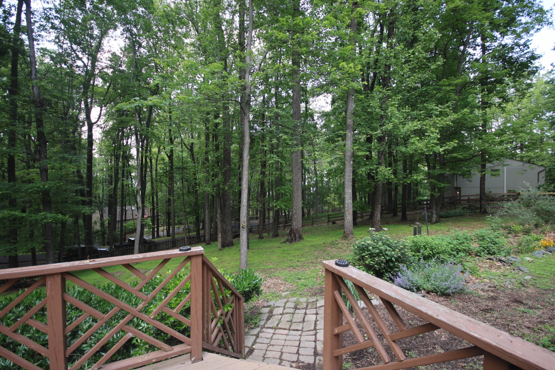 6898 Sugar Rum Ridge RD - Photo 43