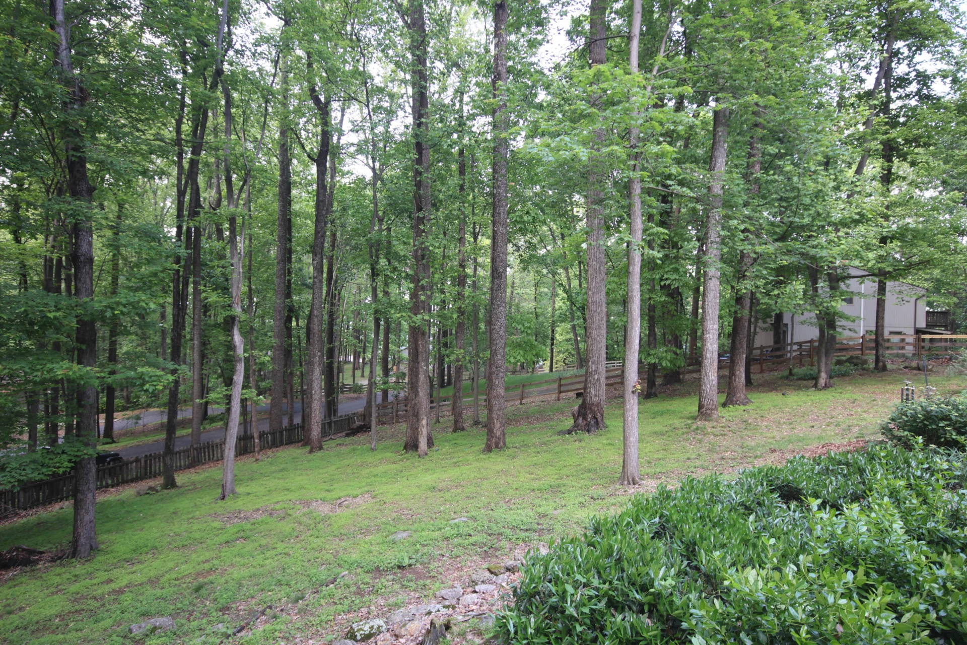 6898 Sugar Rum Ridge RD - Photo 45