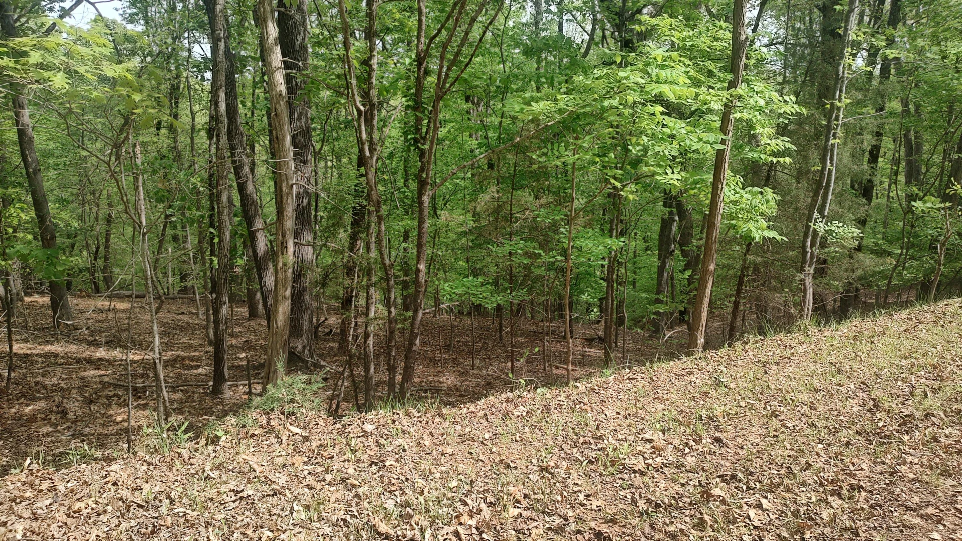 Lot 52 Shad Run DR