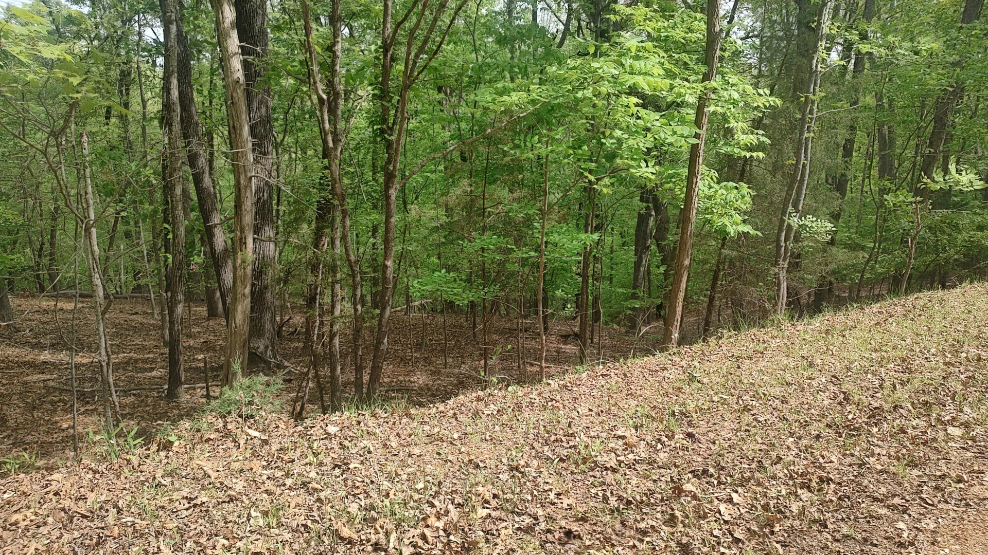 Lot 52 Shad Run DR - Photo 2