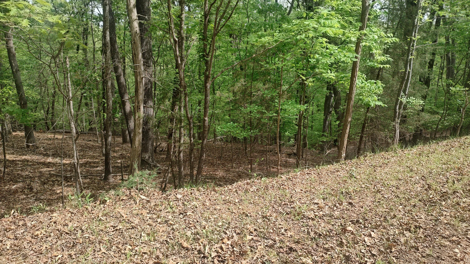 Lot 52 Shad Run DR - Photo 3