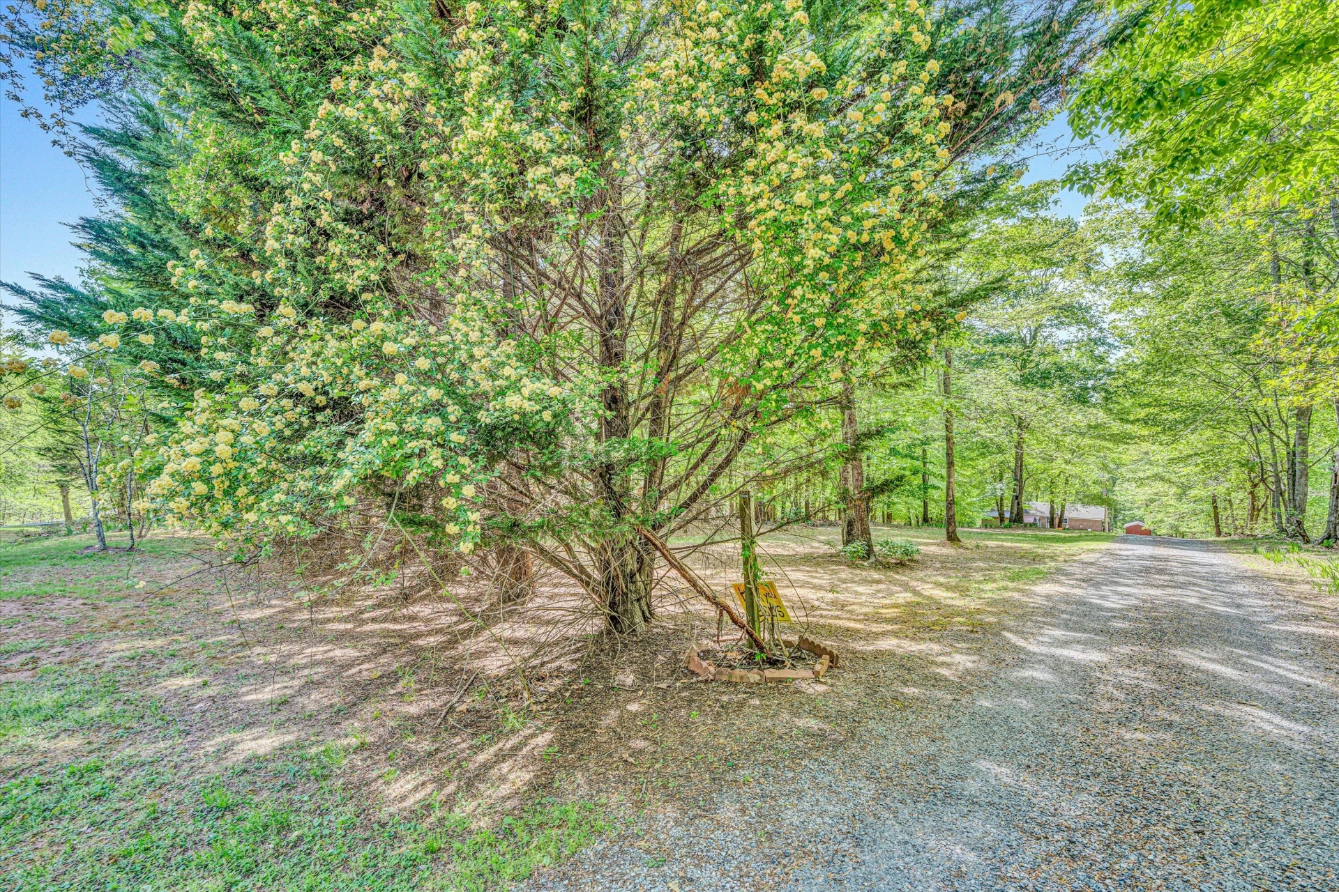 14 Kamp Branch RD - Photo 46
