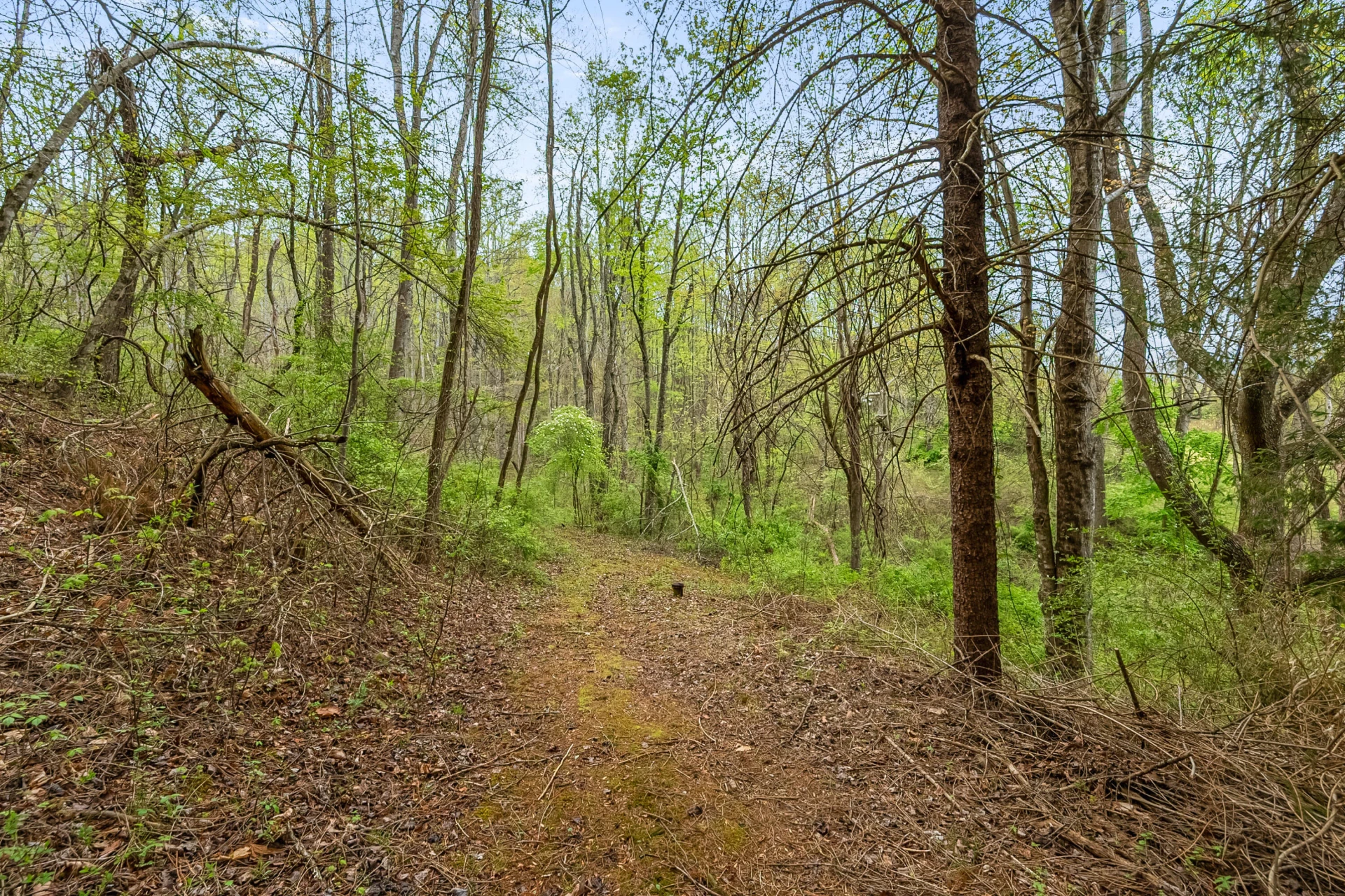 1053 Thomas Farm RD - Photo 68