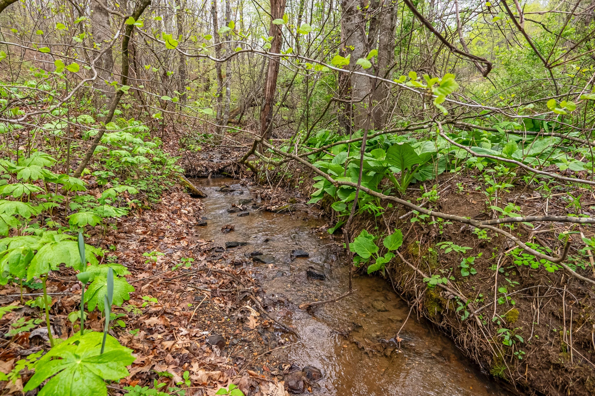 1053 Thomas Farm RD - Photo 90
