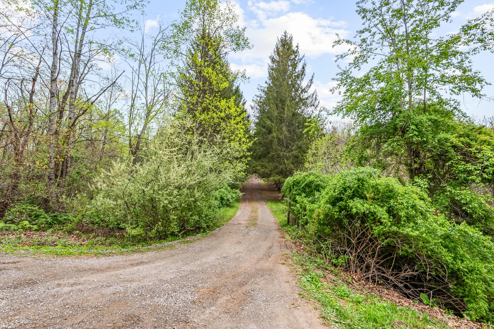 1053 Thomas Farm RD - Photo 92