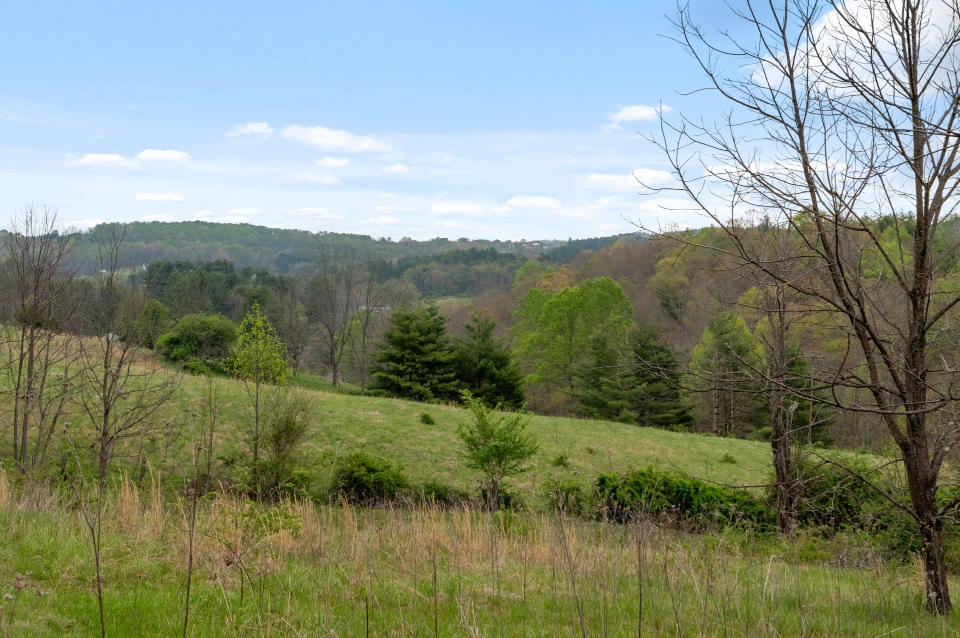 860 Floyd HWY - Photo 90