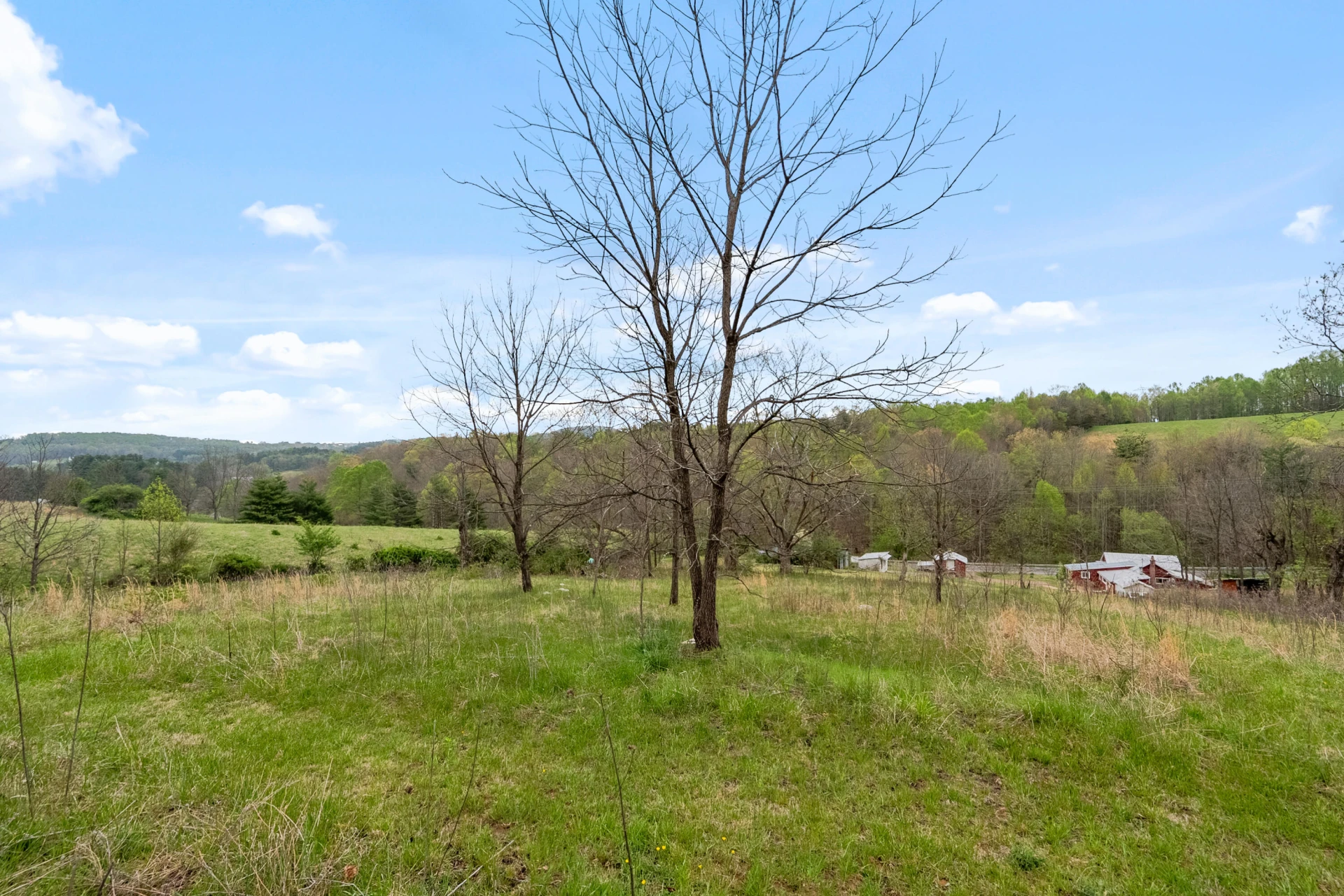860 Floyd HWY - Photo 91