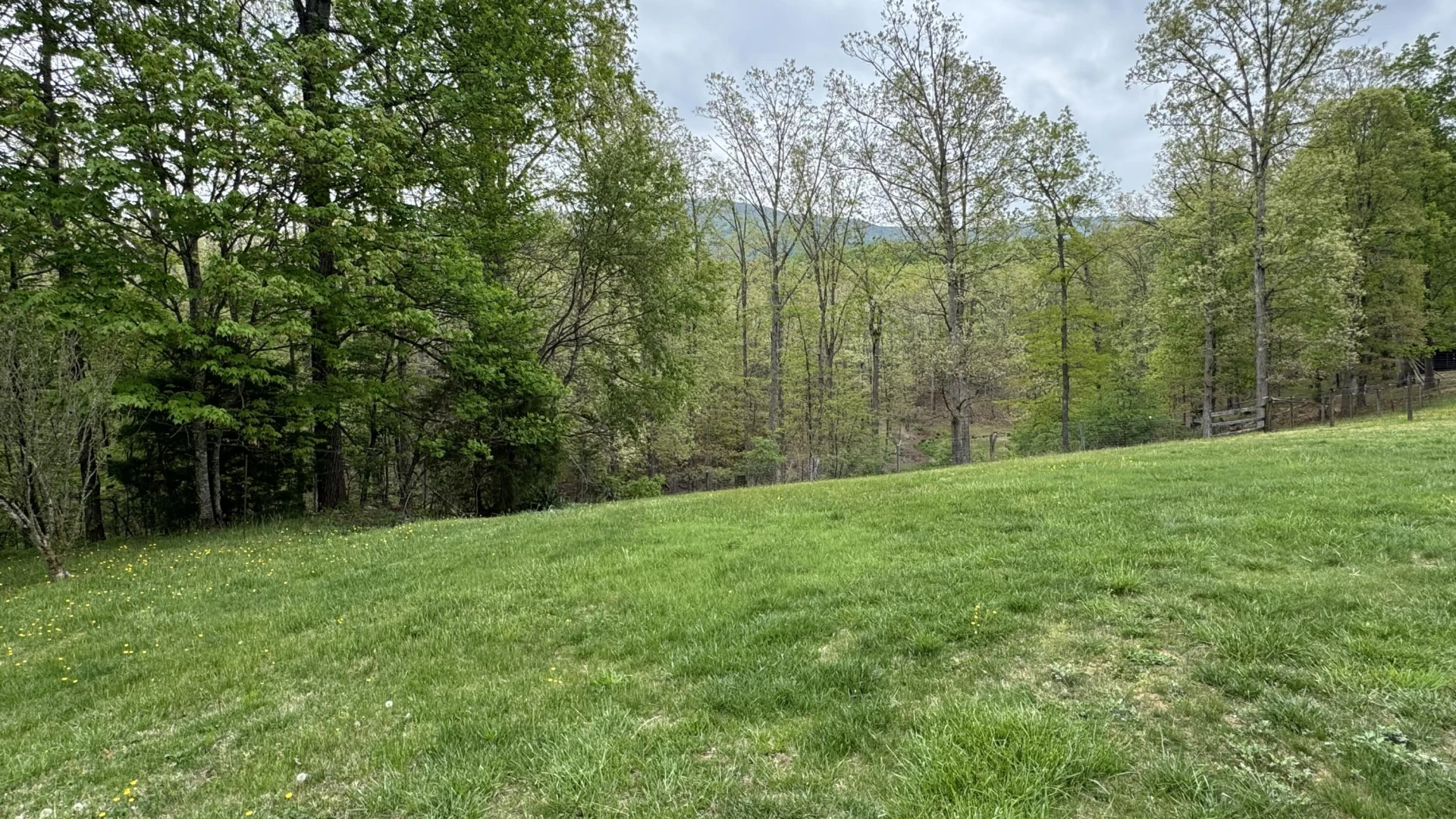 4186 White Oak DR - Photo 2