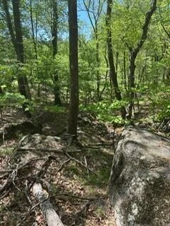 5109 Twelve Oclock Knob RD - Photo 59