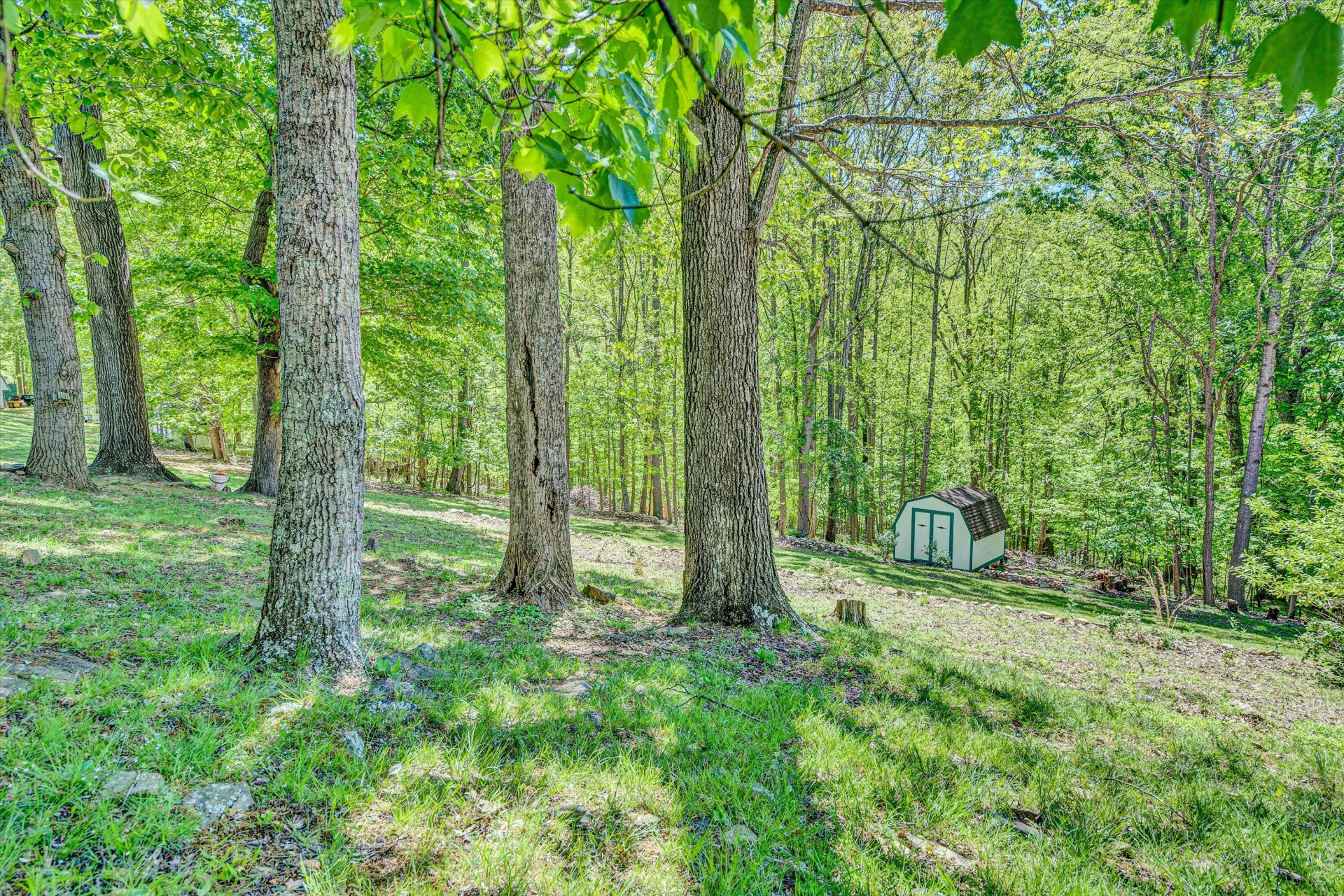 106 View DR - Photo 32