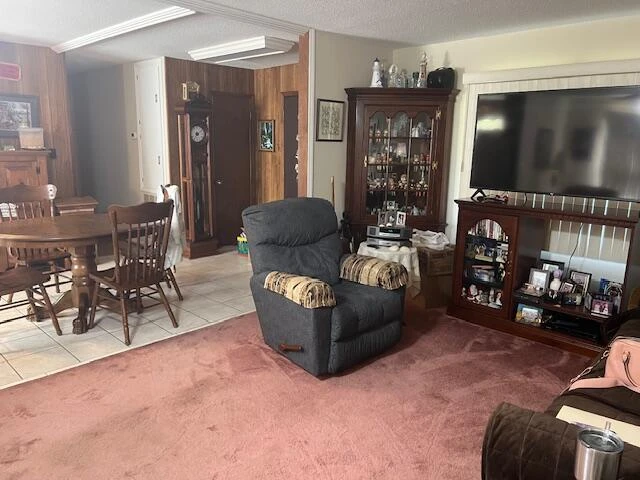 69 Fireside LN - Photo 2