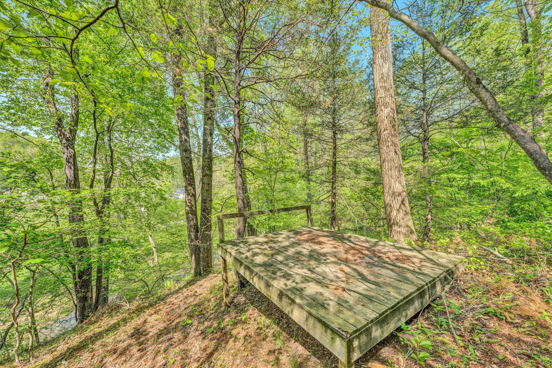 7077 Hollyberry RD - Photo 50