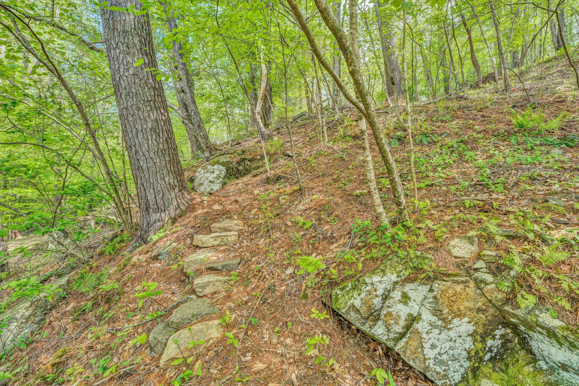 7077 Hollyberry RD - Photo 51