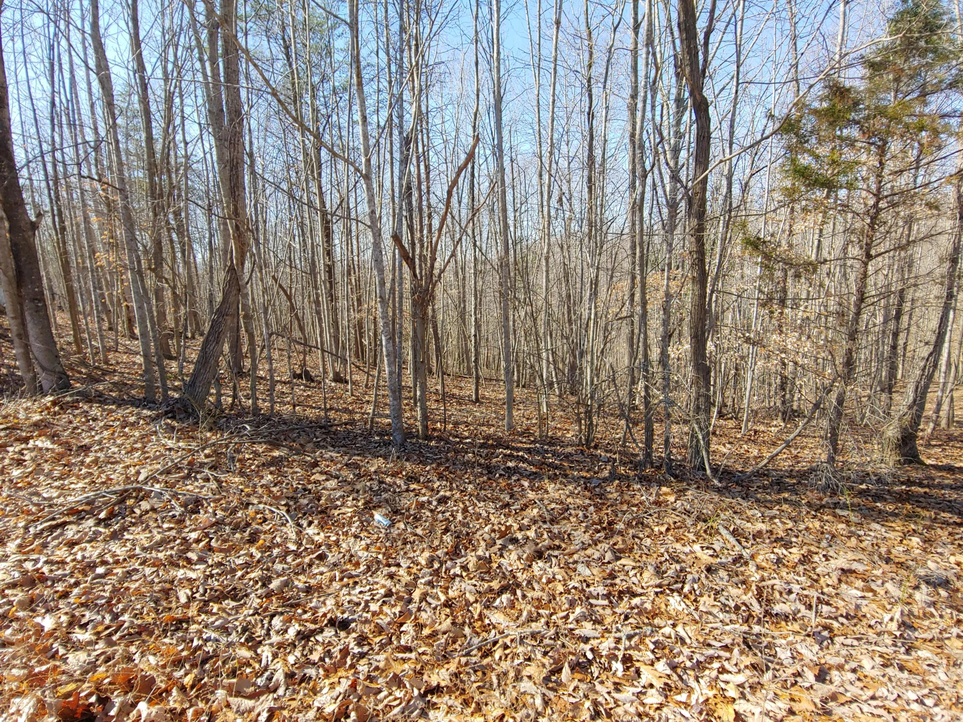 0 Horseshoe Bend RD - Photo 2