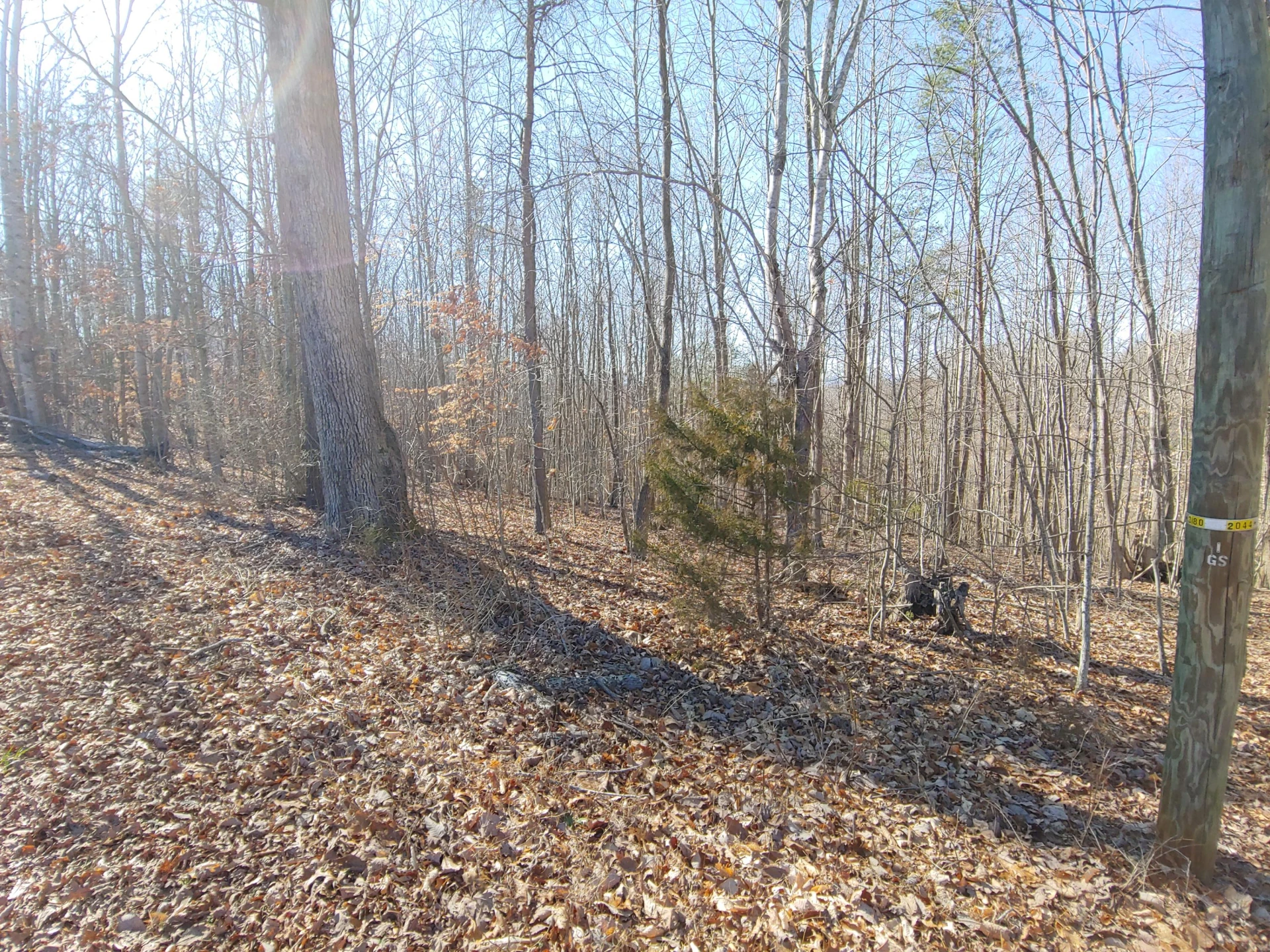 0 Horseshoe Bend RD - Photo 3