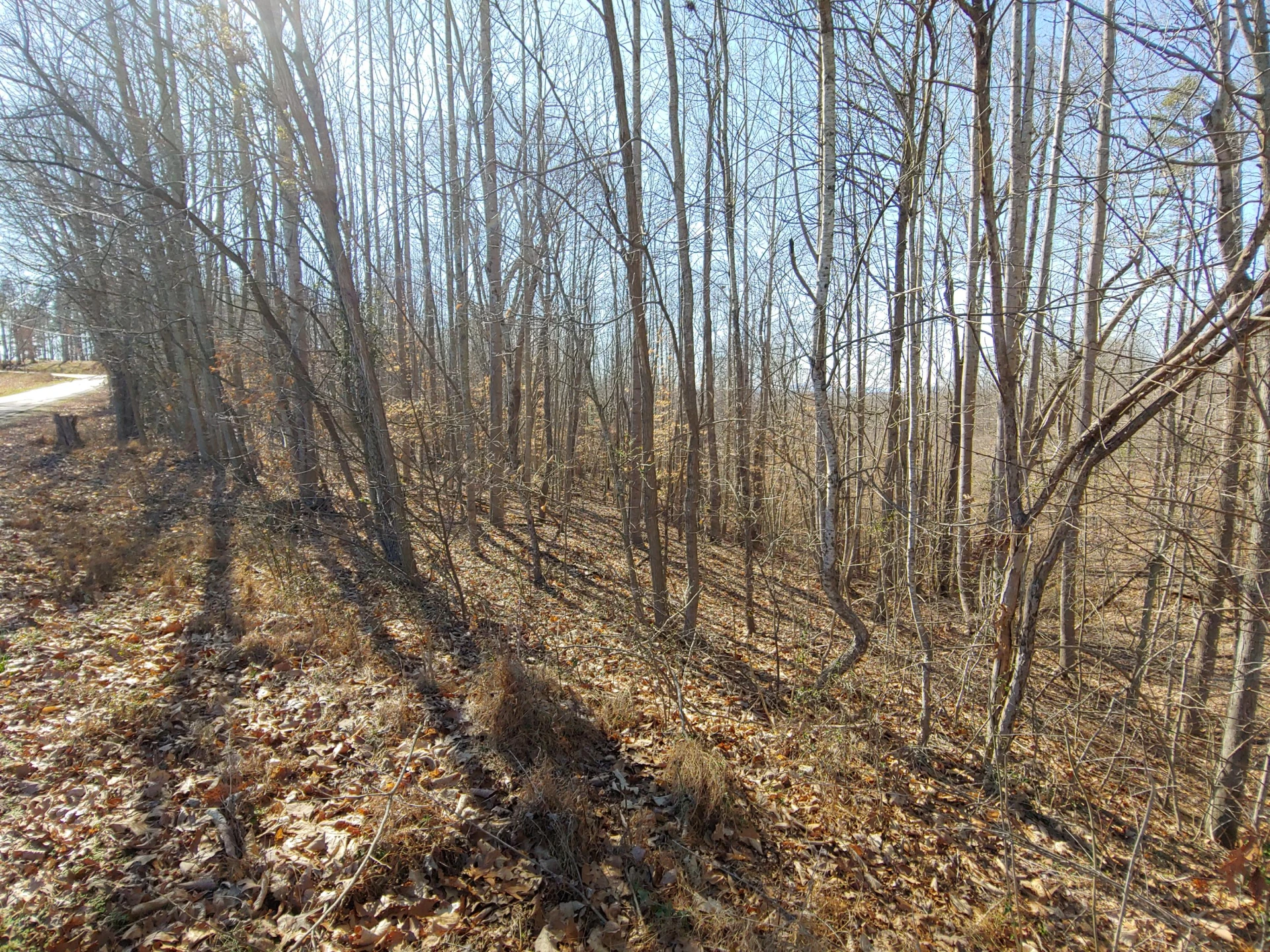 LOT 10 Horseshoe Bend RD - Photo 2