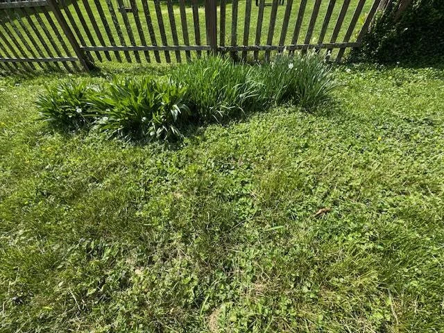 736 Caldwell ST - Photo 27