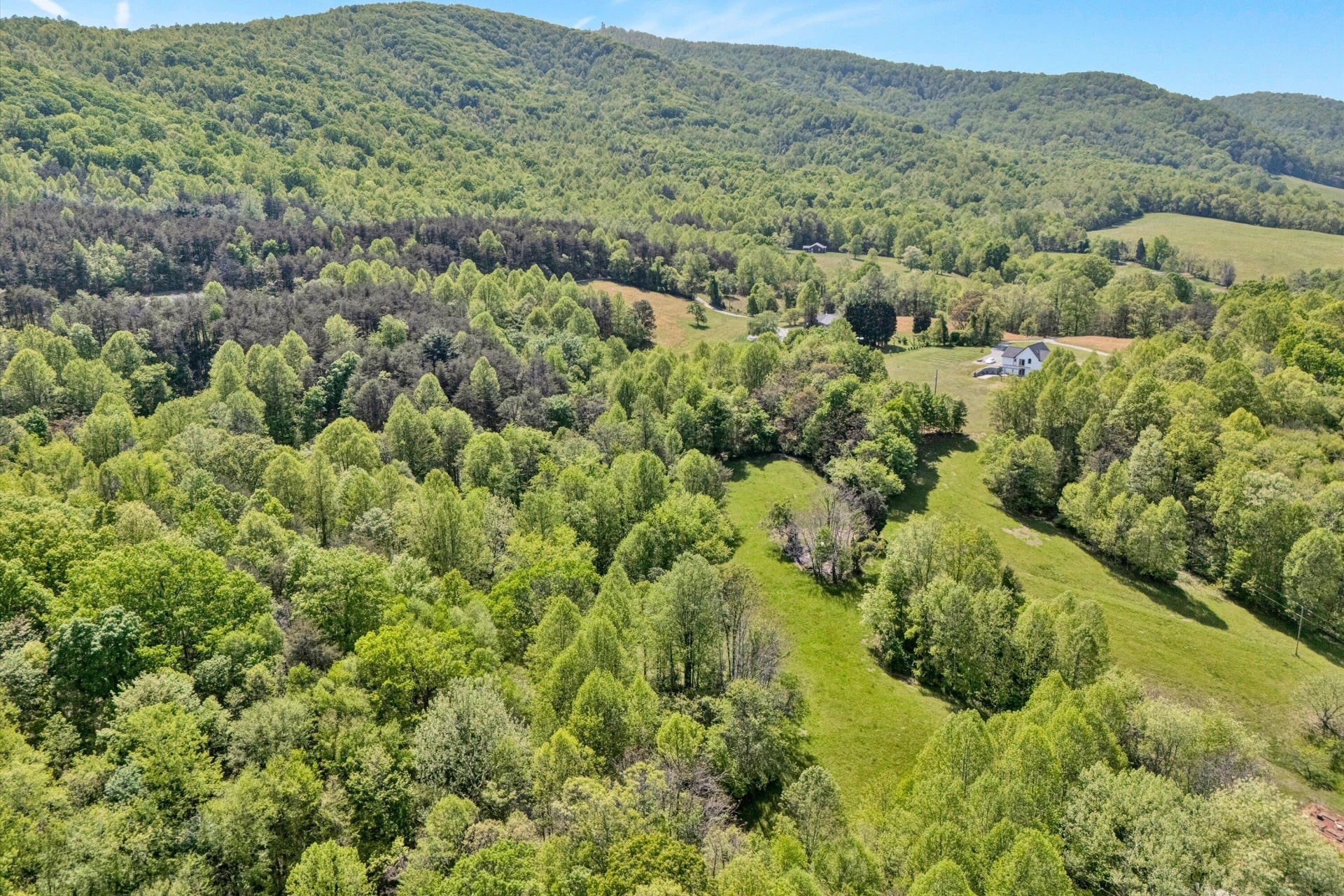 1033 Annie Bell RD - Photo 46