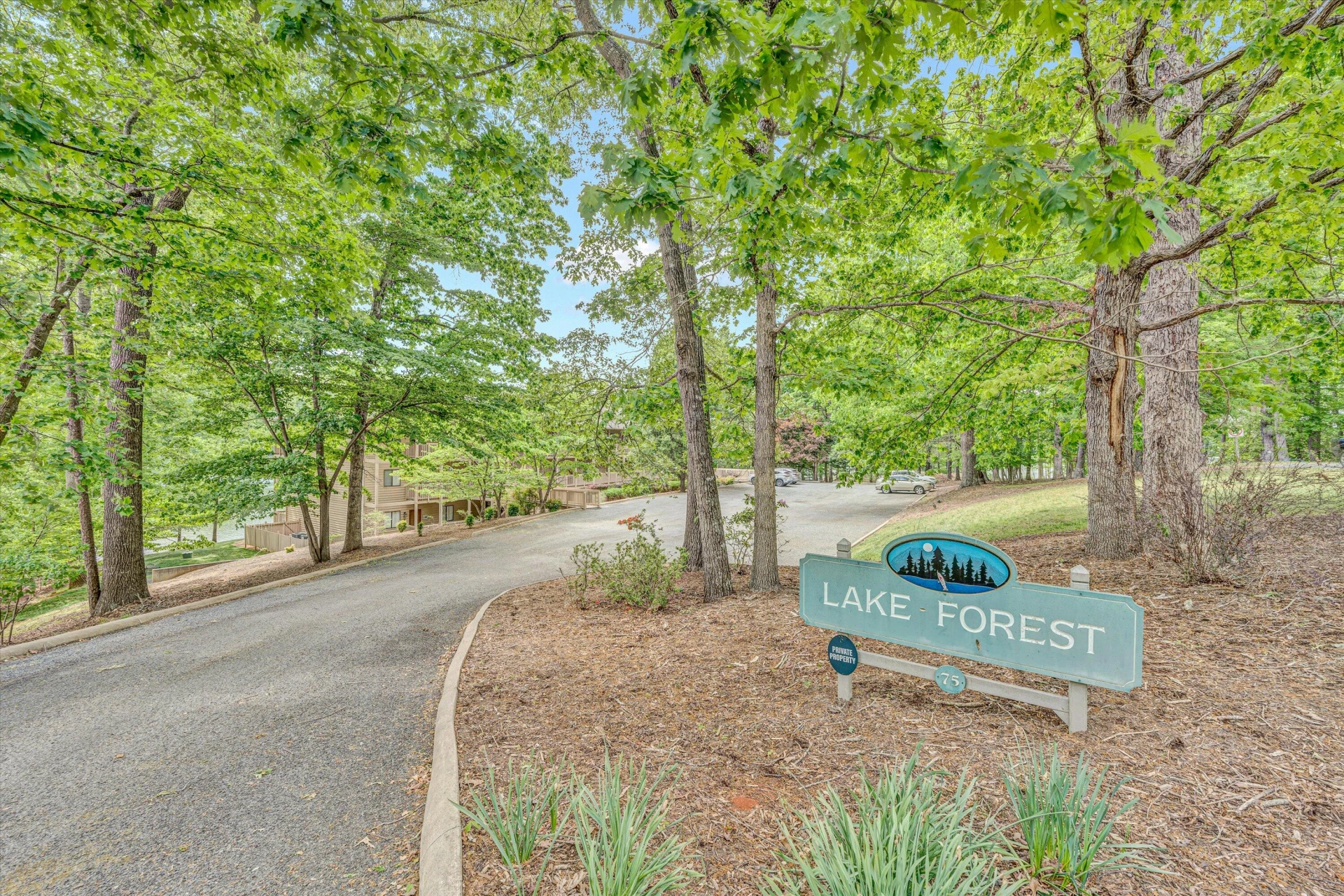 75 Azalea CIR #203 - Photo 40